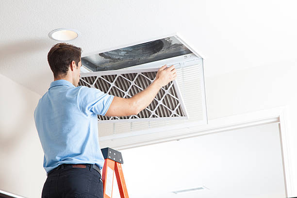 Best Energy-efficient HVAC Solutions in Fishhook, AK